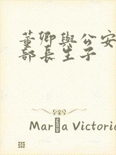 董卿与公安部副部长生子