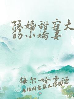 隐婚甜宠大财阀的小娇妻