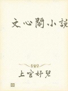 文心阁小说