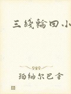 三线轮回小说