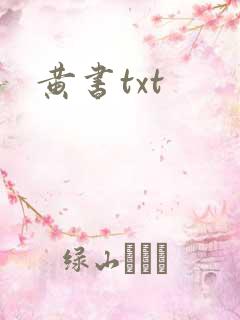 黄书txt
