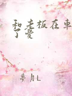 和老板在车里做了爱