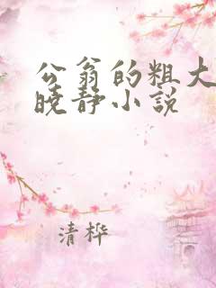 公翁的粗大放进晓静小说