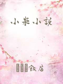 小米小说