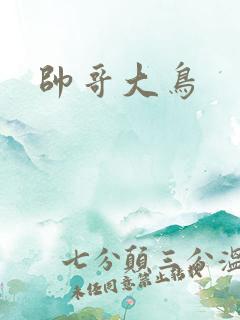 帅哥大鸟