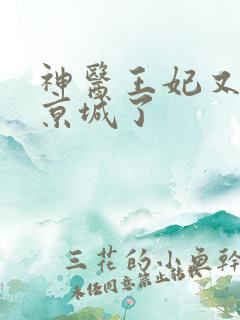 神医王妃又轰动京城了