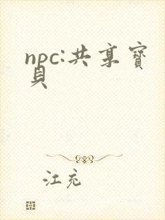 npc:共享宝贝