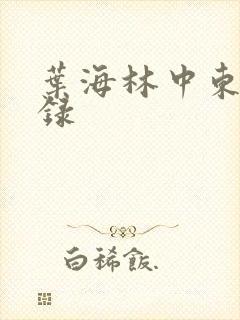 叶海林中东风云录