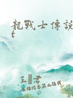 龙战士传说txt