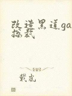 改造黑道gay总裁