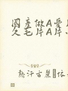 国产做A爱片久久毛片A片小说