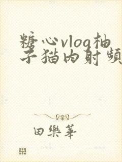 糖心vlog柚子猫内射频