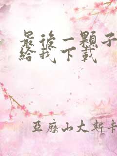 最后一颗子弹留给我下载