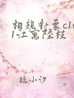 相亲对象c1v1江寓陆枝