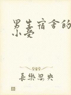 男生宿舍的公共小受