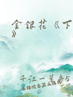 金银花《下厨房》