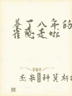 养了八年的金丝雀飞走啦