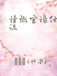 情燃官场仕途风流