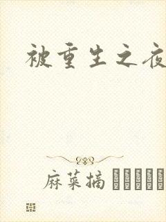 被重生之夜王