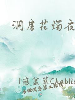 洞房花烛夜小说