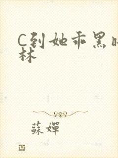 C到她乖黑暗森林