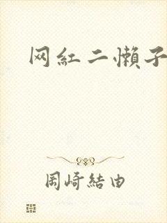 网红二懒子车祸