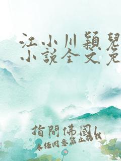 江小川颖儿穿越小说全文免费阅读