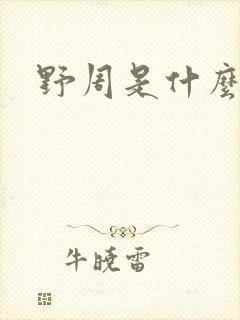 野周是什么意思