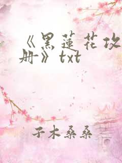 《黑莲花攻略手册》txt