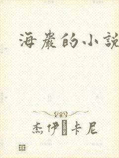 海岩的小说
