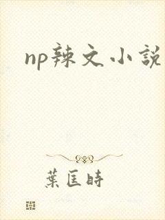 np辣文小说