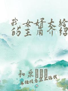 我女婿太给力了的主角介绍