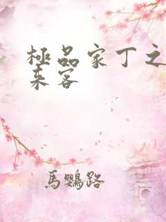 极品家丁之远方来客