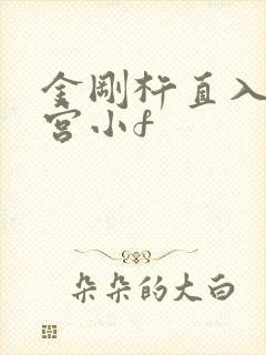 金刚杵直入莲花宫小f