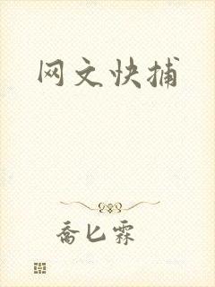 网文快捕