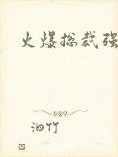 火爆总裁强制爱