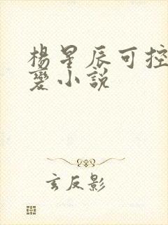 杨星辰可控核聚变小说