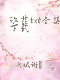 班花txt全集下载