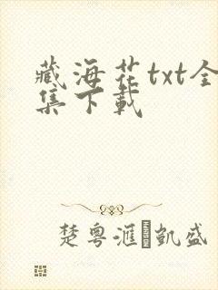 藏海花txt全集下载