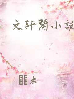 文轩阁小说网