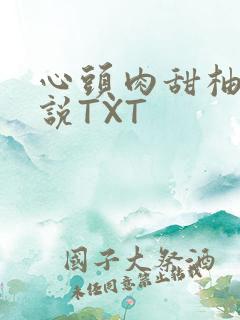 心头肉甜柚子小说TXT