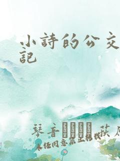 小诗的公交车日记