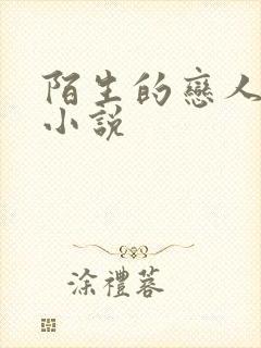 陌生的恋人原著小说