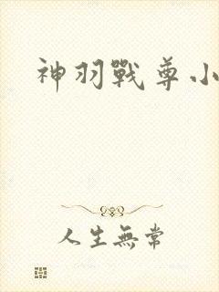 神羽战尊小说