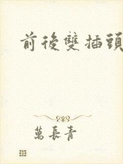 前后双插头互攻