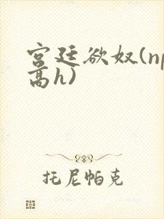 宫廷欲奴(np高h)