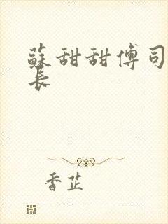 苏甜甜傅司衍机长