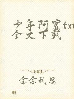 少年阿宾txt全文下载