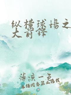 纵横球场之暴力大前锋