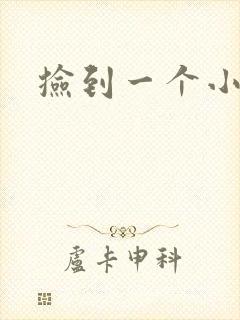 捡到一个小妖精